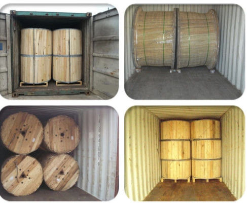 ACSR Aluminum Conductor Steel Reinforced For Power Transmission Line